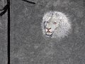 Fleece Jacket White Lion Embroidery_L-2_800